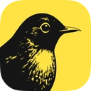 Birch (Revealbot)